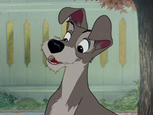 Photo de Clochard (chant)