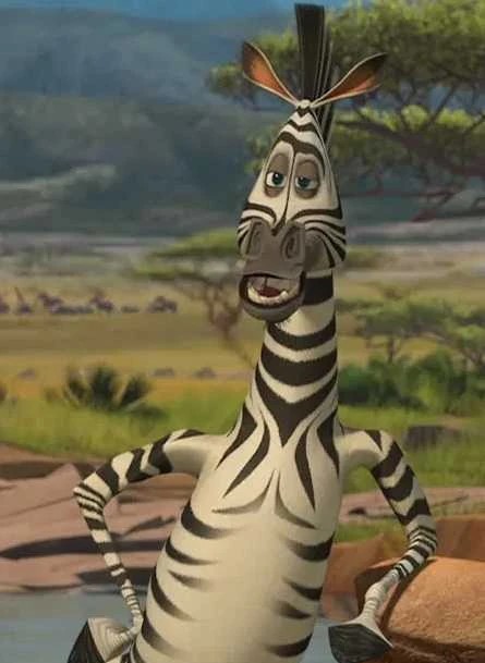 Photo de Marty, le Zèbre