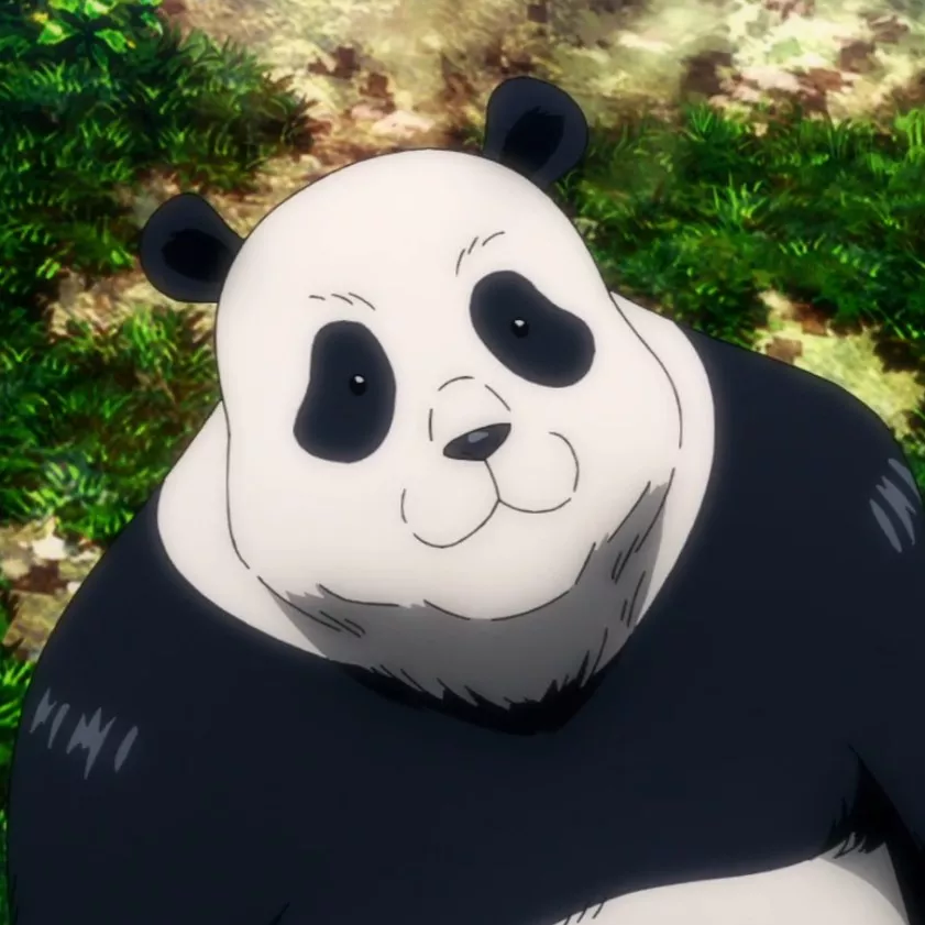 Photo de Panda
